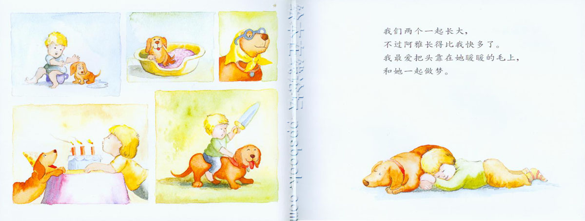 我永远爱你 (03),绘本,绘本故事,绘本阅读,故事书,童书,图画书,课外阅读